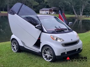 smart fortwo Vertical Door Kit - 451 Model