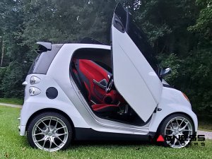 smart fortwo Vertical Door Kit - 451 Model