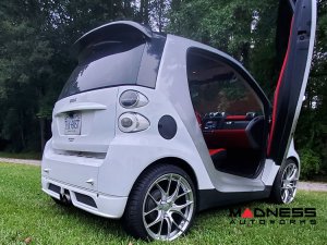 smart fortwo Vertical Door Kit - 451 Model
