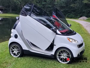 smart fortwo Vertical Door Kit - 451 Model