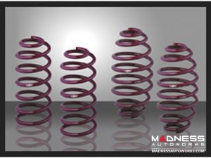 smart fortwo Lowering Springs- 451 - Vogtland