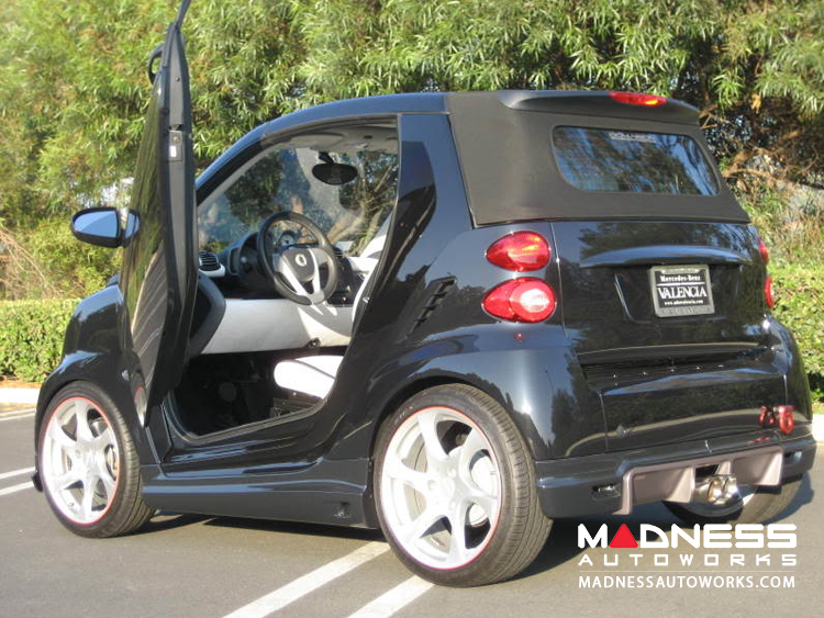 2008 Custom smart car white & black - Customization